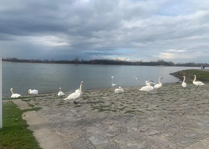 Eisenbahn Apartamento Rheinmunster